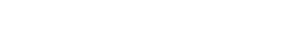 Fashion Nova logo