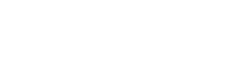Shein logo